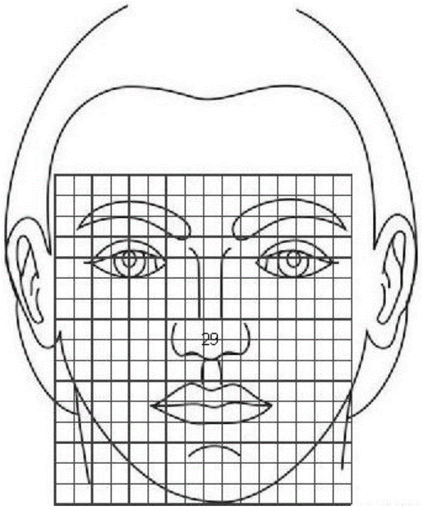 Method and device for human face in-vivo detection