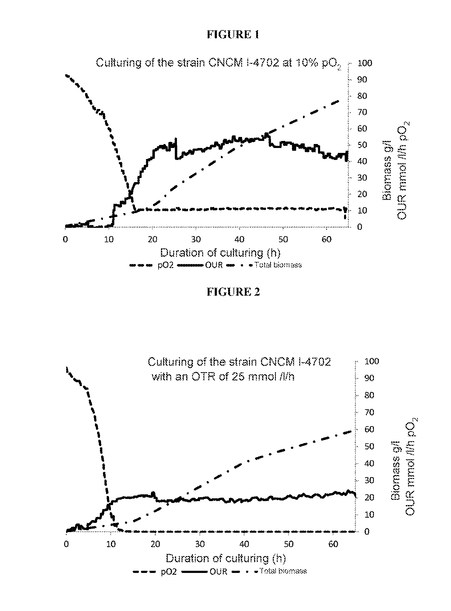 Method for enriching the biomass of thraustochytrium genus microalgae with DHA