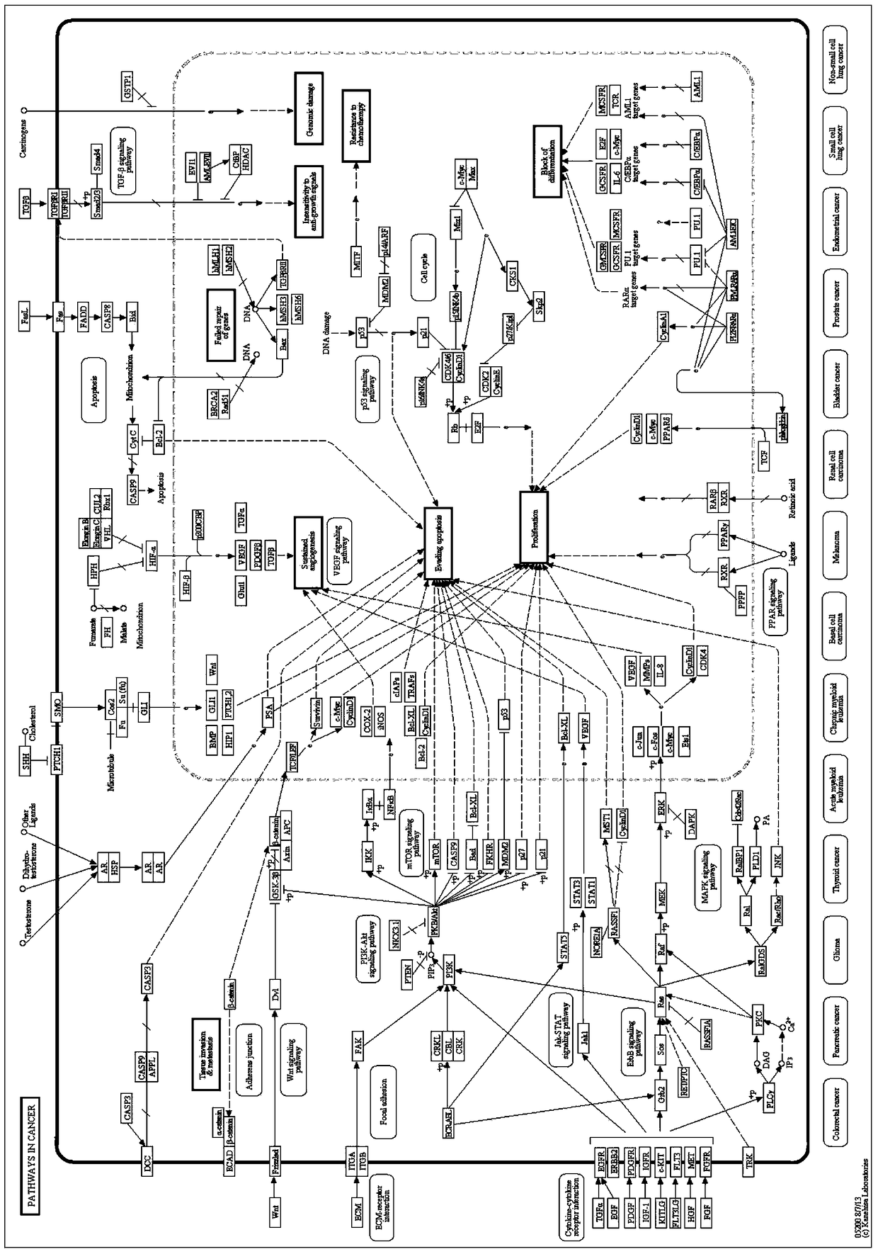 Acute myeloid leukemia miRNA and transcription factor system and its construction method and application