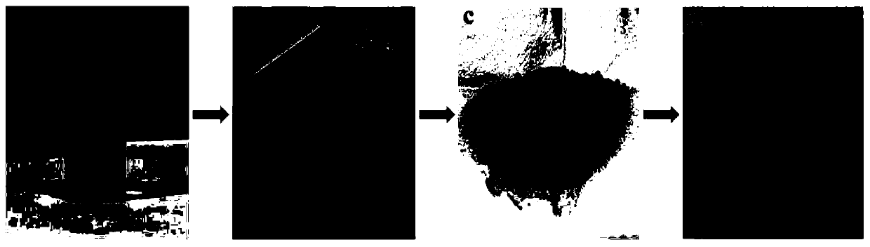 Large-particle perovskite single crystal/polymer composite thick film, photoelectric detector and preparation method