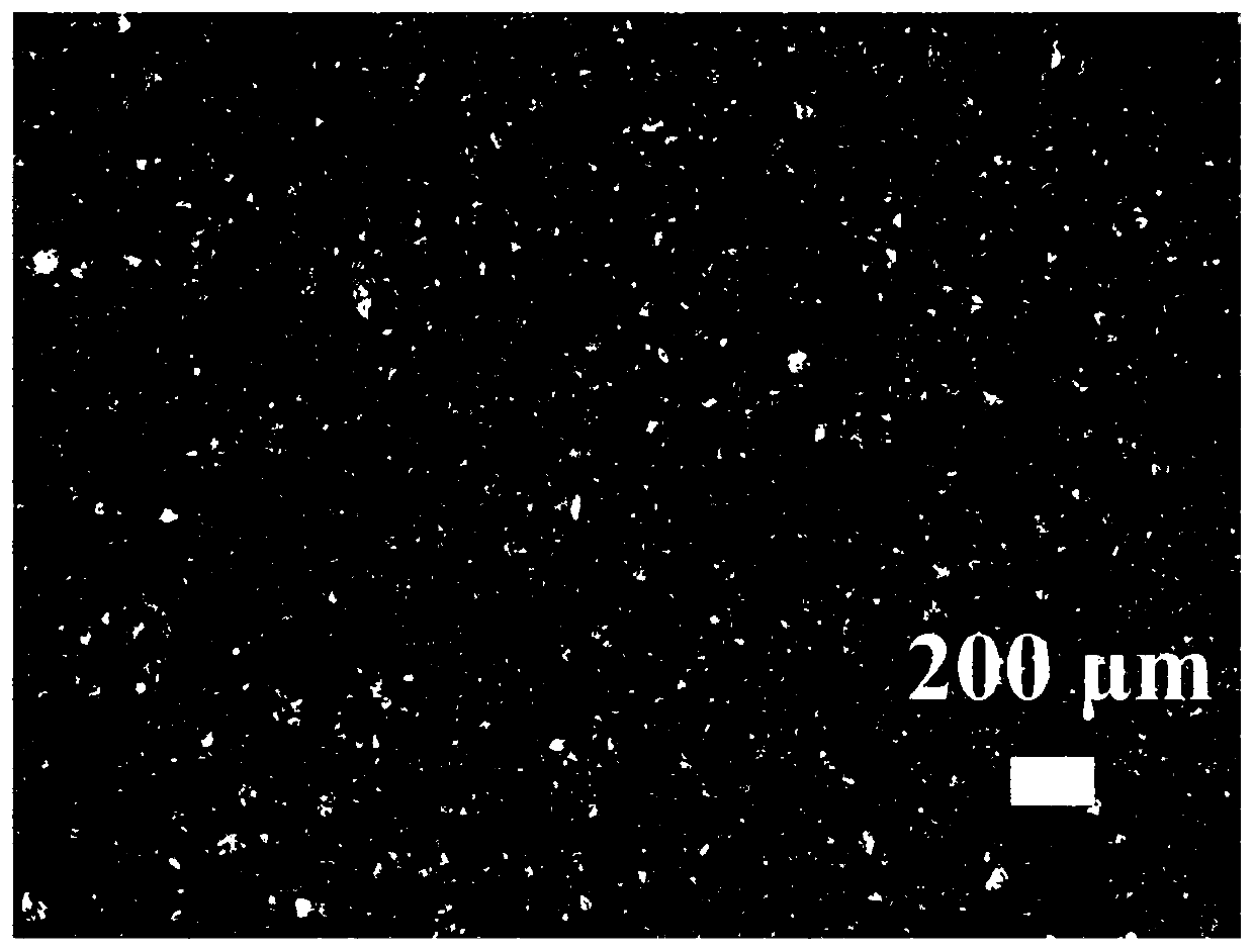 Large-particle perovskite single crystal/polymer composite thick film, photoelectric detector and preparation method