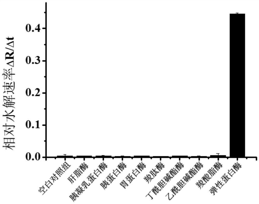 Quantum dot fluorescent probe, preparation method and application thereof, method and kit for detecting elastase activity