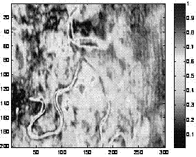 Contourlet transformation based seismic multi-attribute fusion method