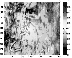 Contourlet transformation based seismic multi-attribute fusion method