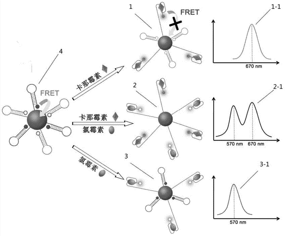 Nano-sensor for detecting antibiotics and preparation method and application of nano-sensor