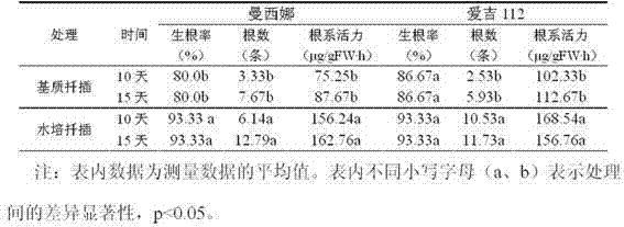 Tomato cutting water planting rooting seedling-raising method