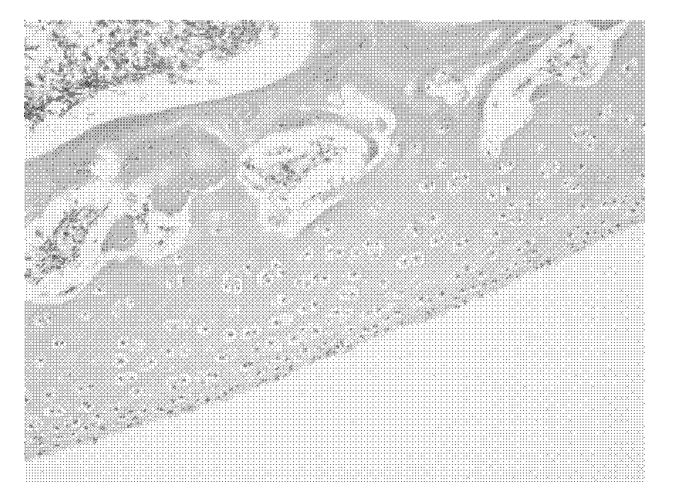 Compound termitarium and preparation method thereof