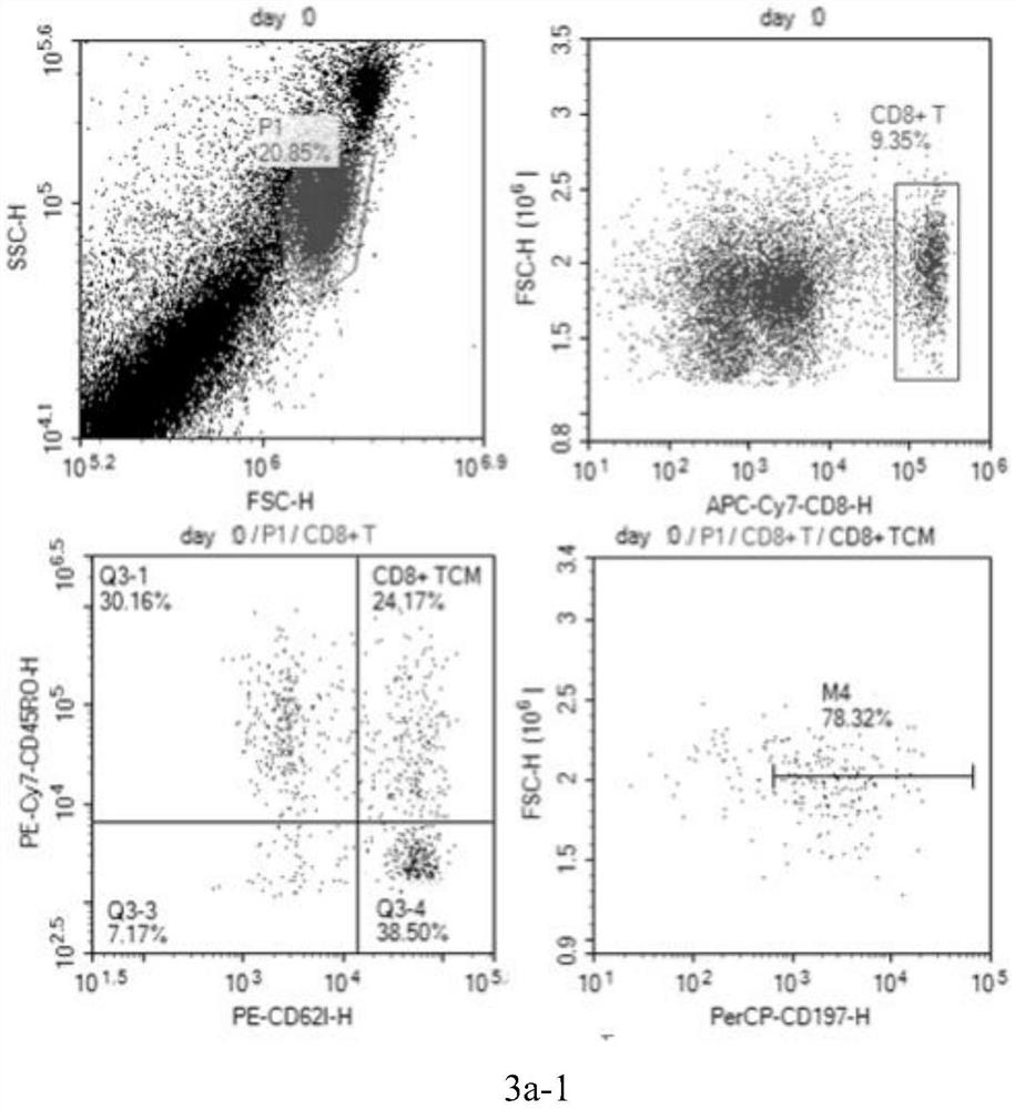 Culture medium and its application in the culture of central memory T-lymphocytes