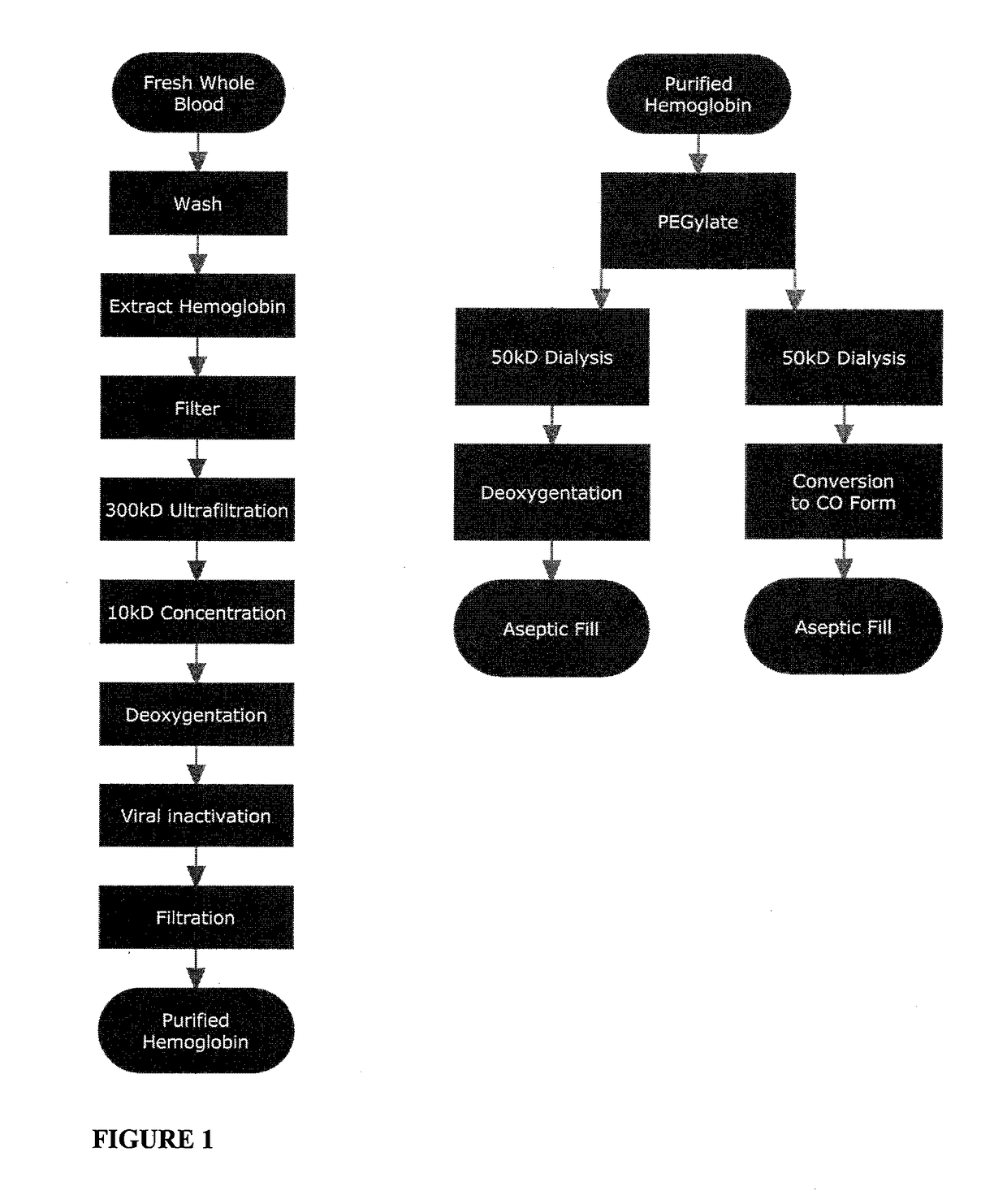 Hemoglobin Compositions