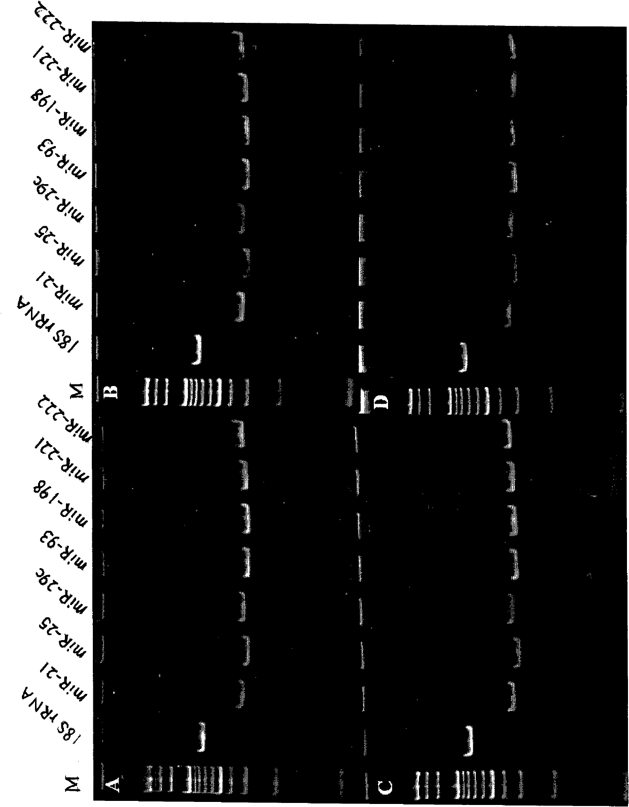 microRNA biomarker and application thereof