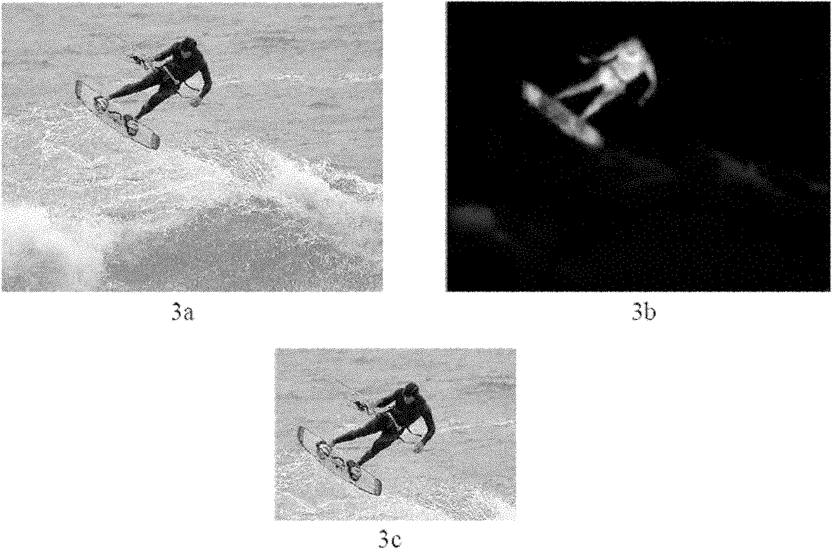 Self-adaptive display method for image on display terminals with different sizes