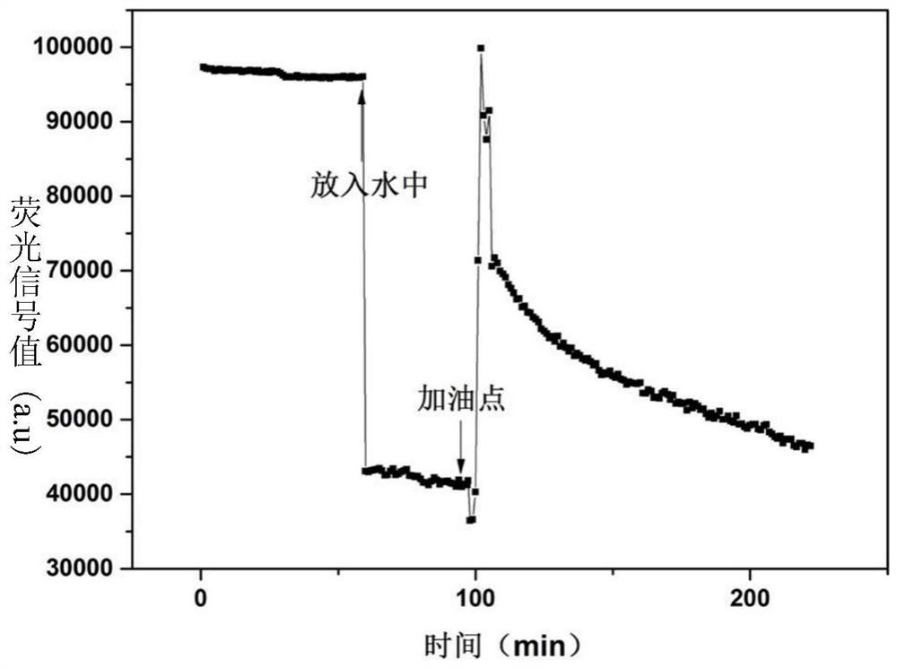 Oil stain online monitoring method and device based on hydrophobic oil absorption material