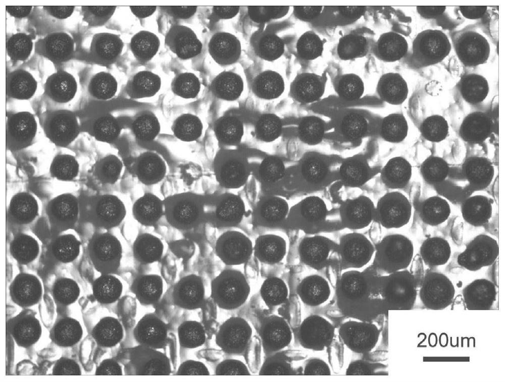 Composite material containing ordered microsphere array and preparation method of composite material