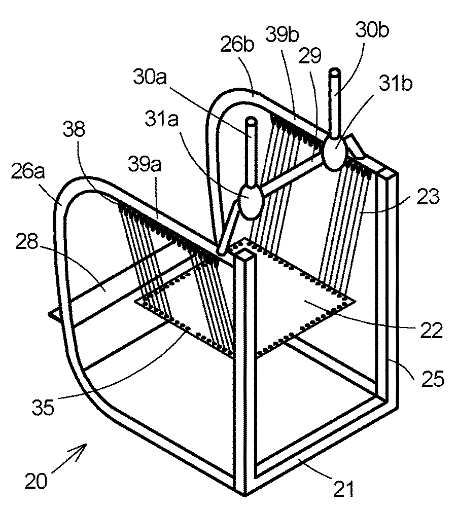 Rebound and balance training device