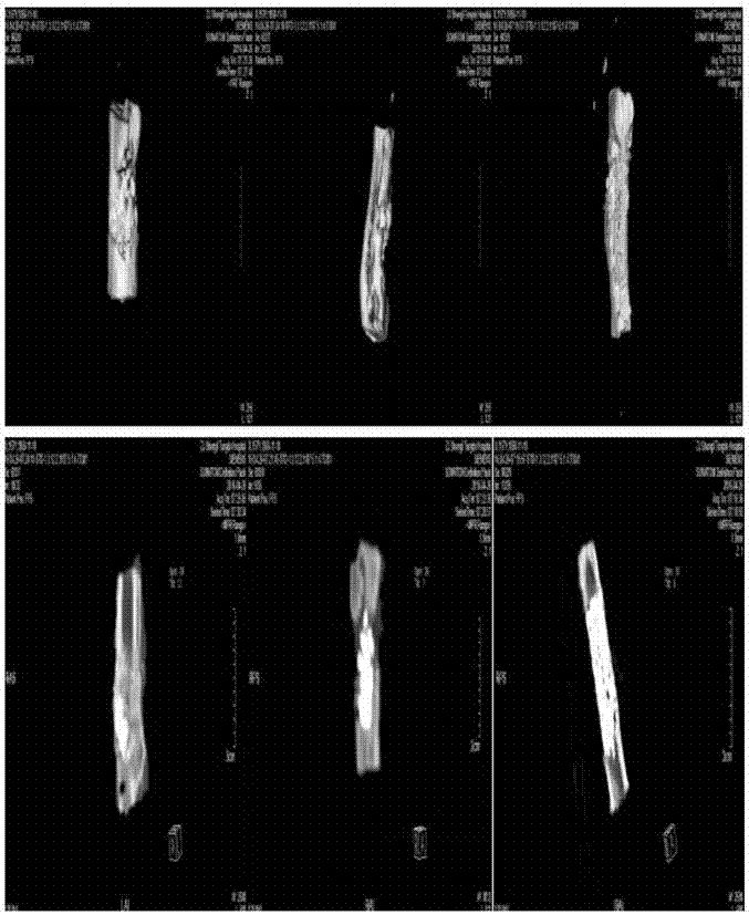 Method for preparing ZrO2 bone repair biological ceramic scaffold material through gradient dip-coating of HA