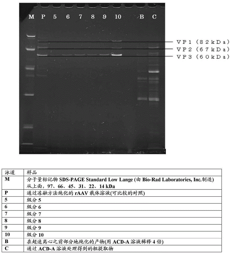 Method for manufacturing non-enveloped virus