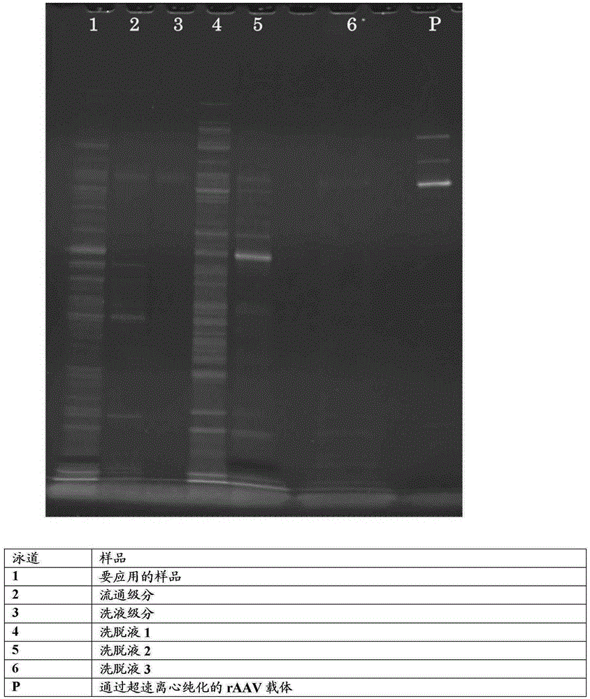 Method for manufacturing non-enveloped virus