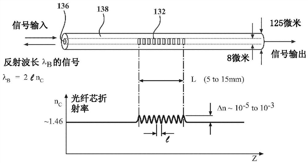 Fiber optic system for detecting forces on and measuring deformation of an anthropomorphic test device