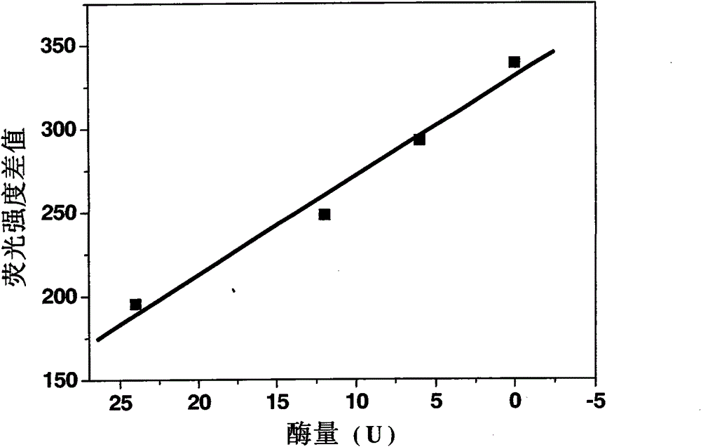 Enzyme chip based on quantum dot fluorescence detection, preparation method and application