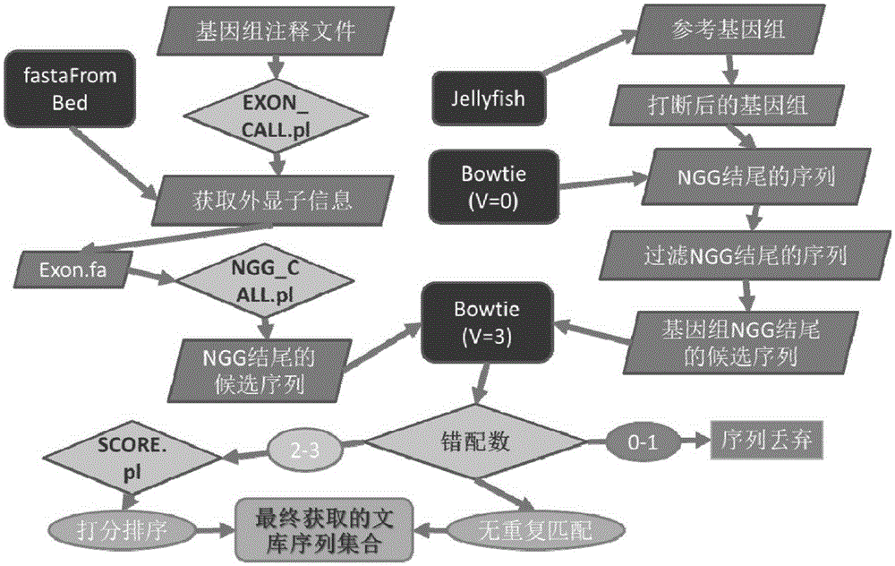 CRISPR-Cas9 system sgRNA action target screening method and apparatus