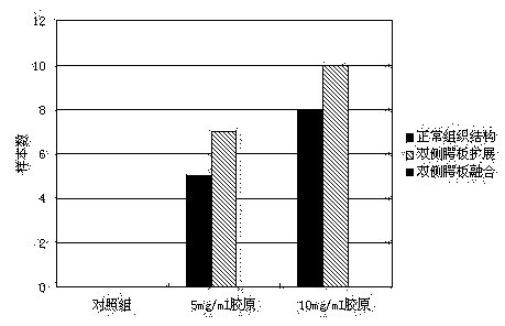 Three-dimensional culture method of palatal organs in vitro