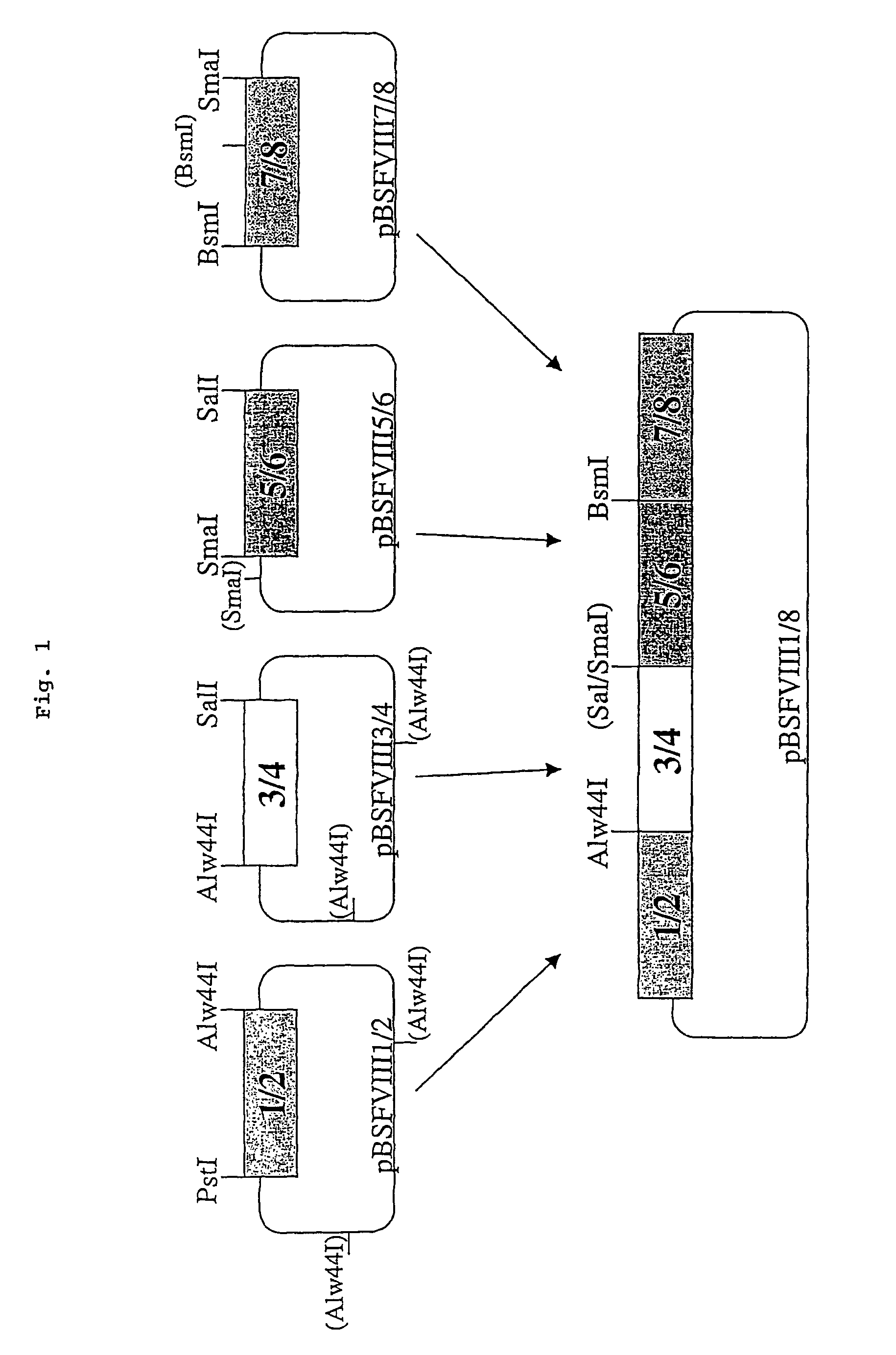 Recombinant blood clotting factors