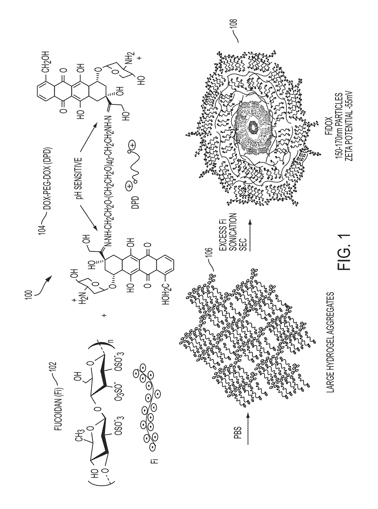 Fucoidan nanogels and methods of their use and manufacture