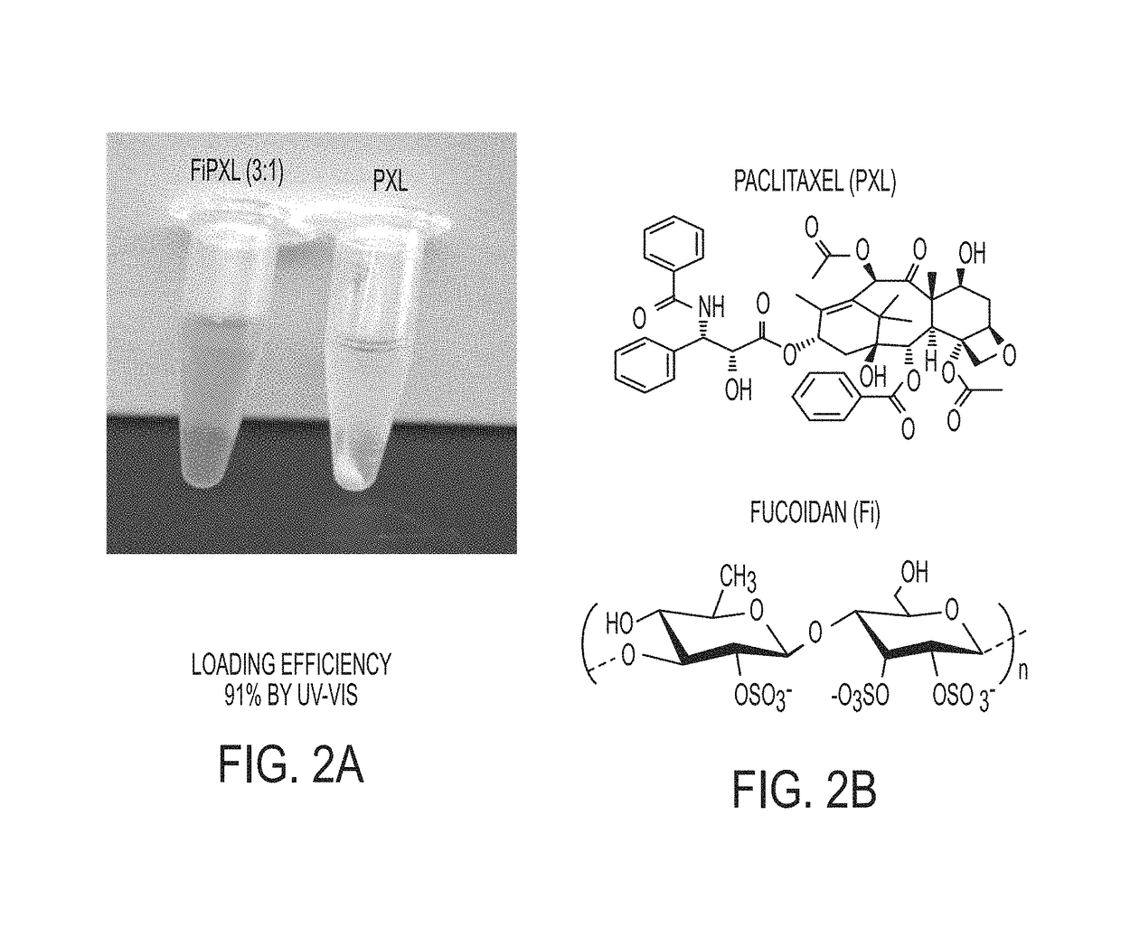 Fucoidan nanogels and methods of their use and manufacture