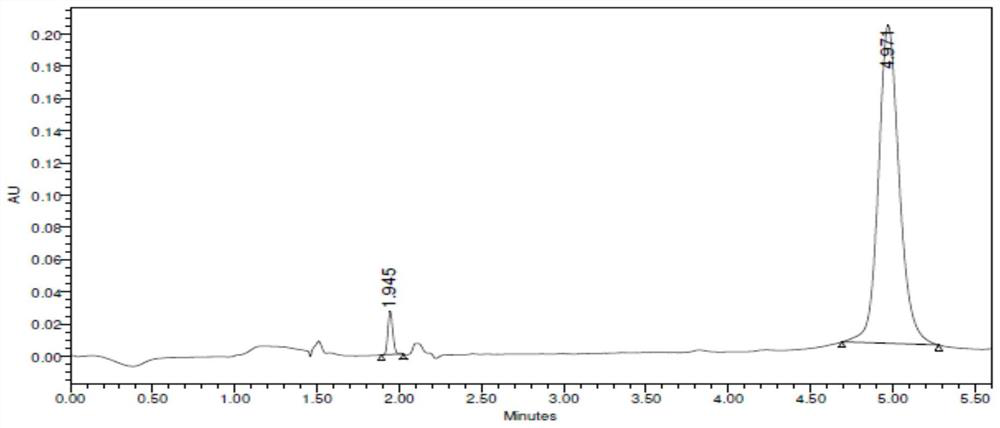 Transaminase and application thereof in preparation of optical pure chiral amine