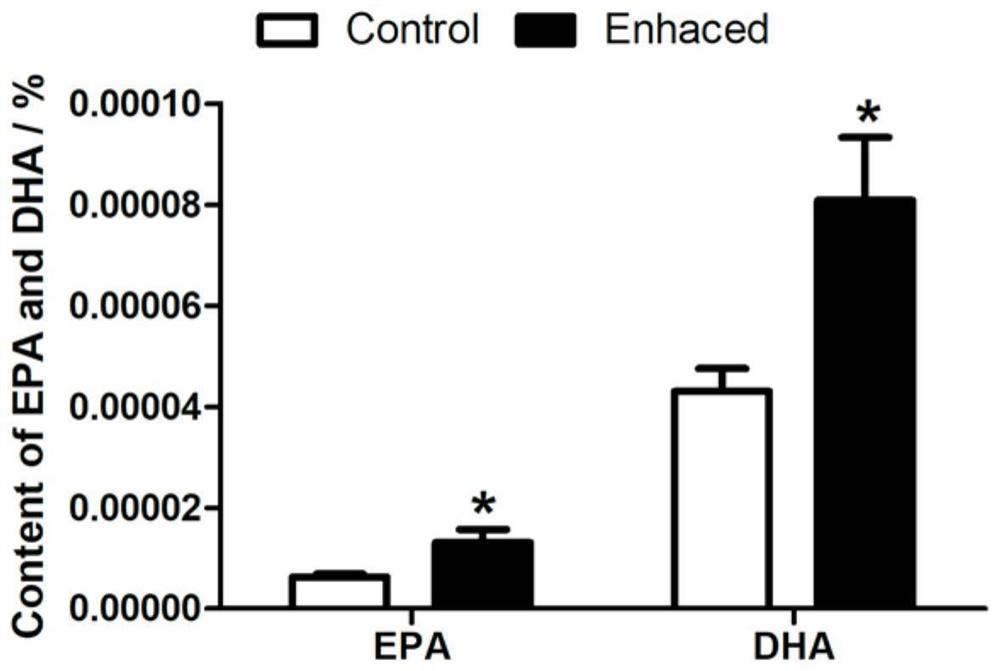 Indoor controllable breeding method for mouth opening of siniperca chuatsi larva fishes through non-living bait fishes