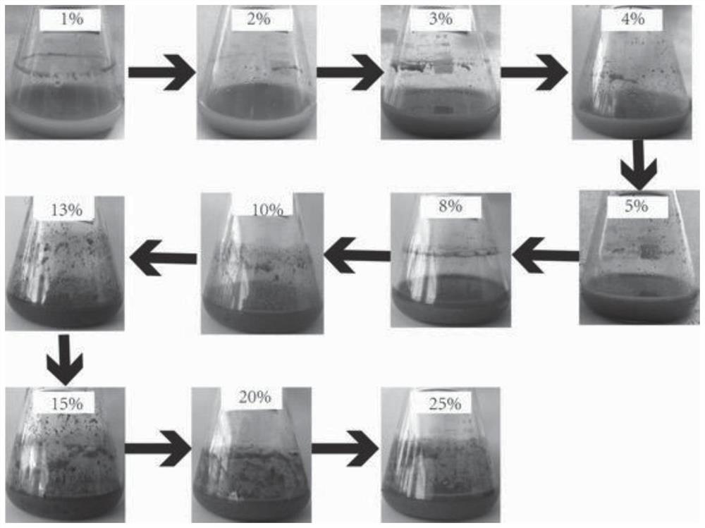 Capsicum-tolerant ethanol high-yield yeast as well as screening method and verification method thereof