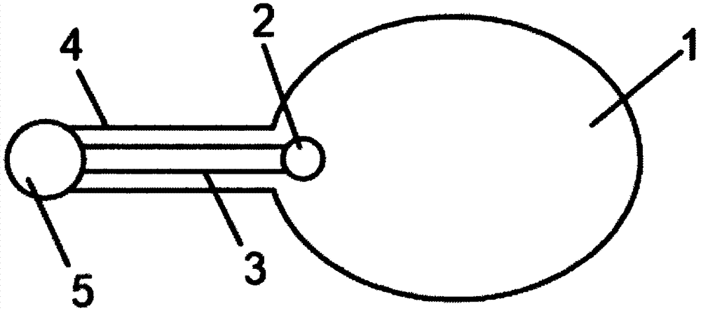 Skin expander and method for expanding skin