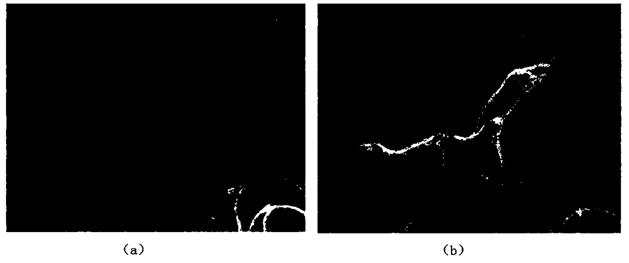 A method for estimating the cutting volume of coniferous forest based on two-stage unmanned aerial vehicle images