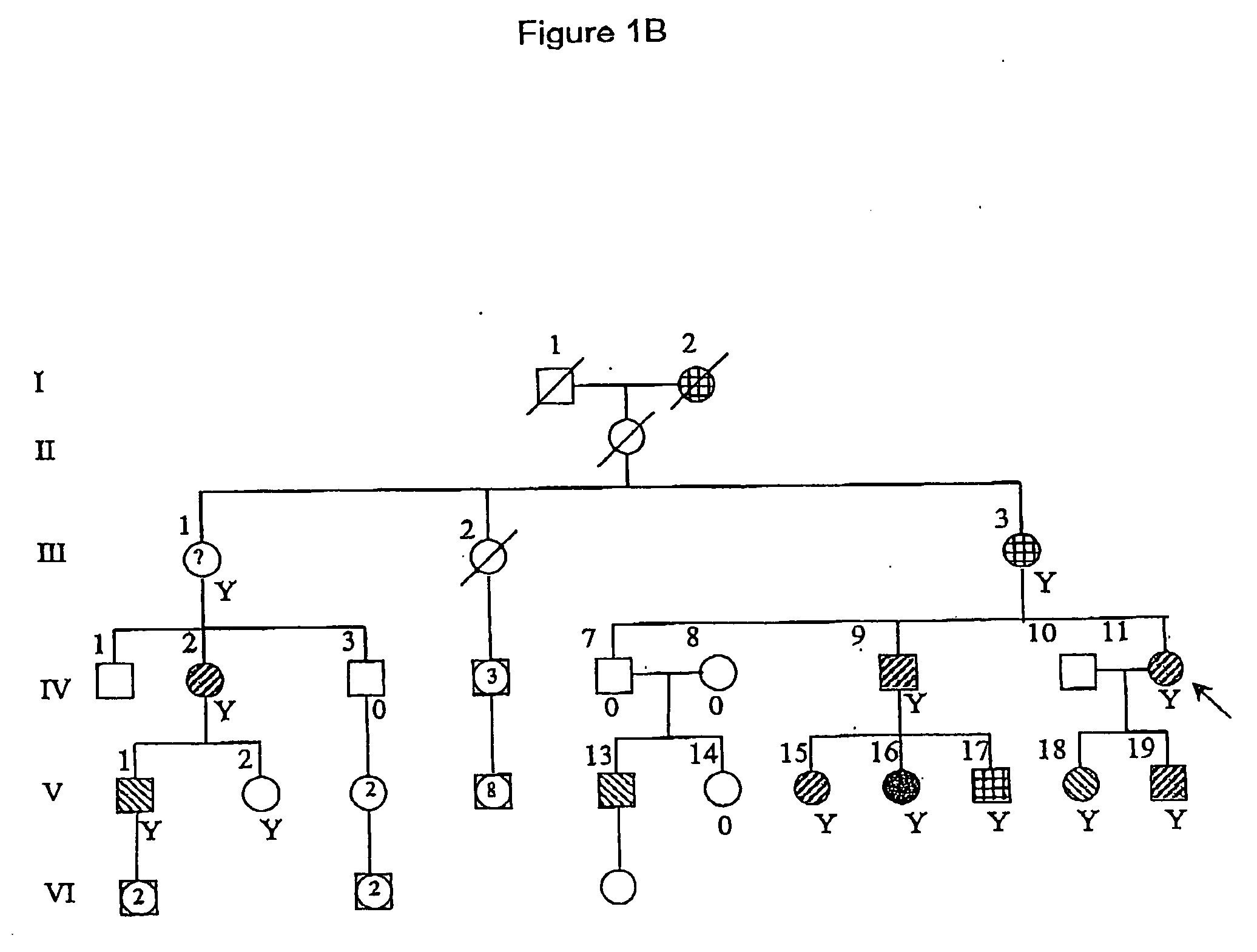 New epilepsy mutations