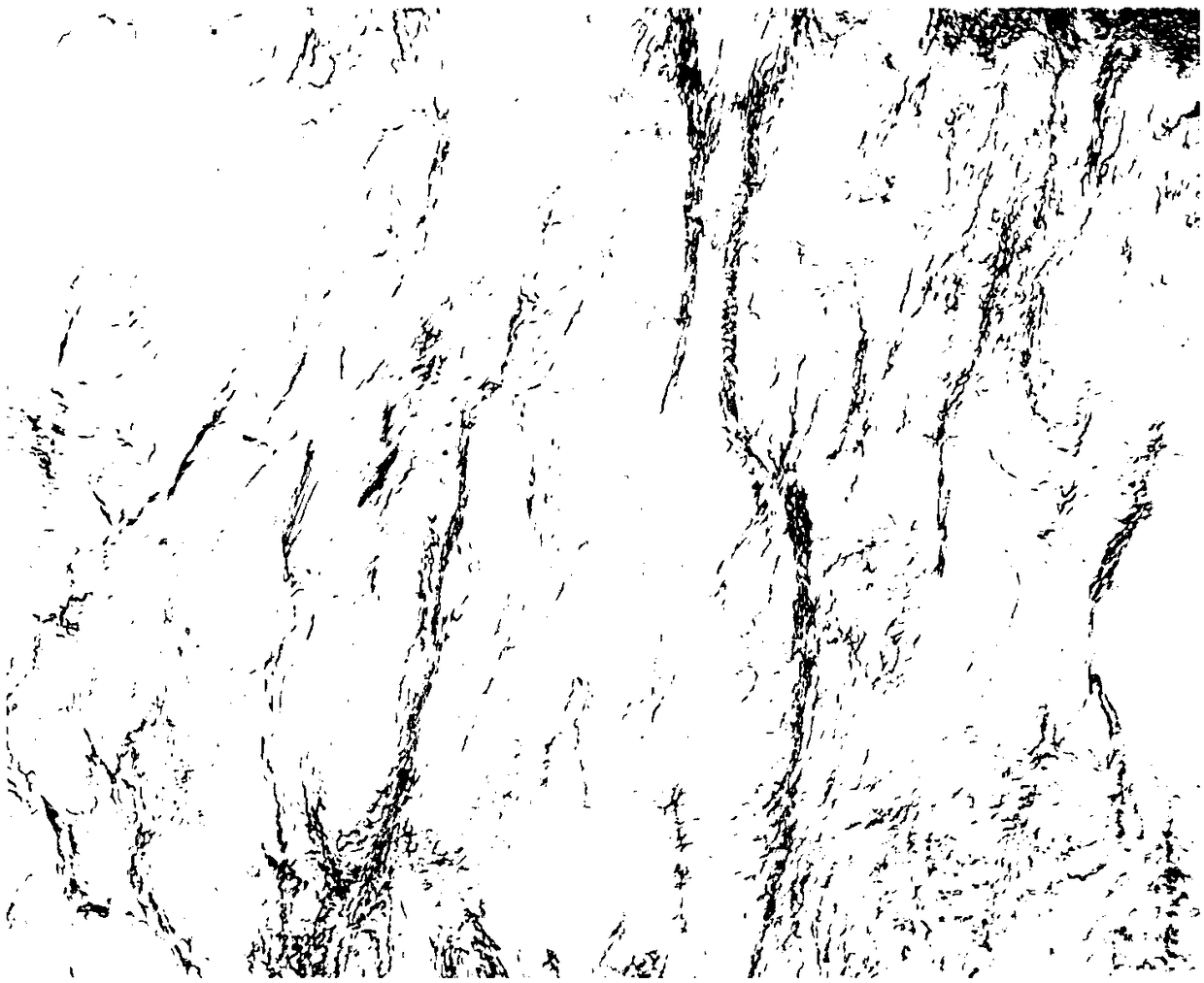 Automatic crack detection method based on seismic coherence cube slice