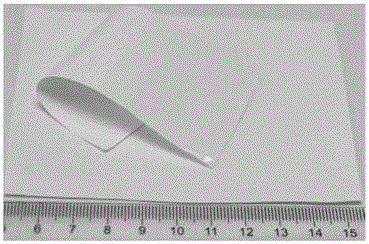 Large-area ultrathin single crystal and rapid growth method thereof