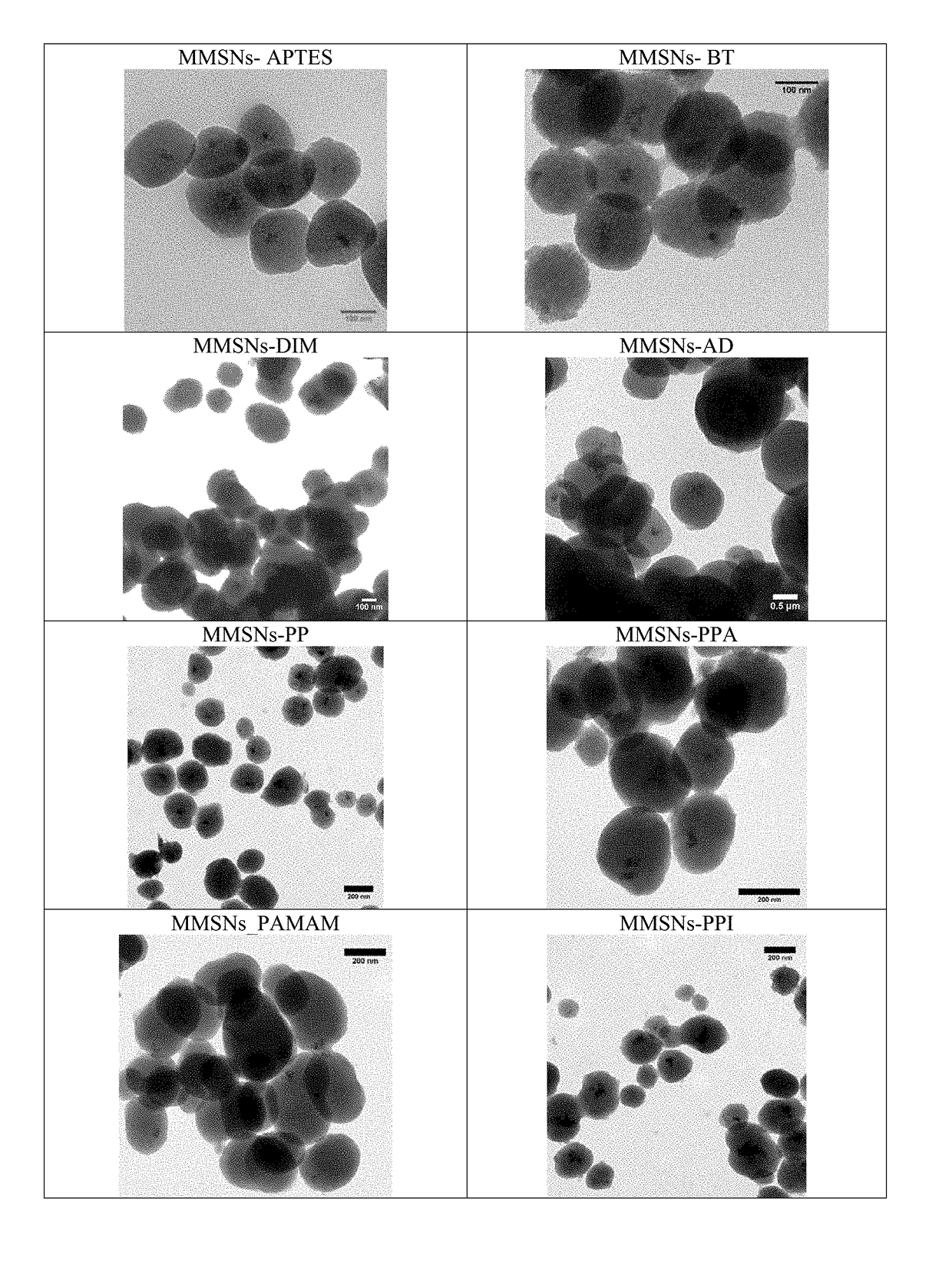 Use of Magnetic Mesoporous Silica Nanoparticles For Removing Uranium From Media