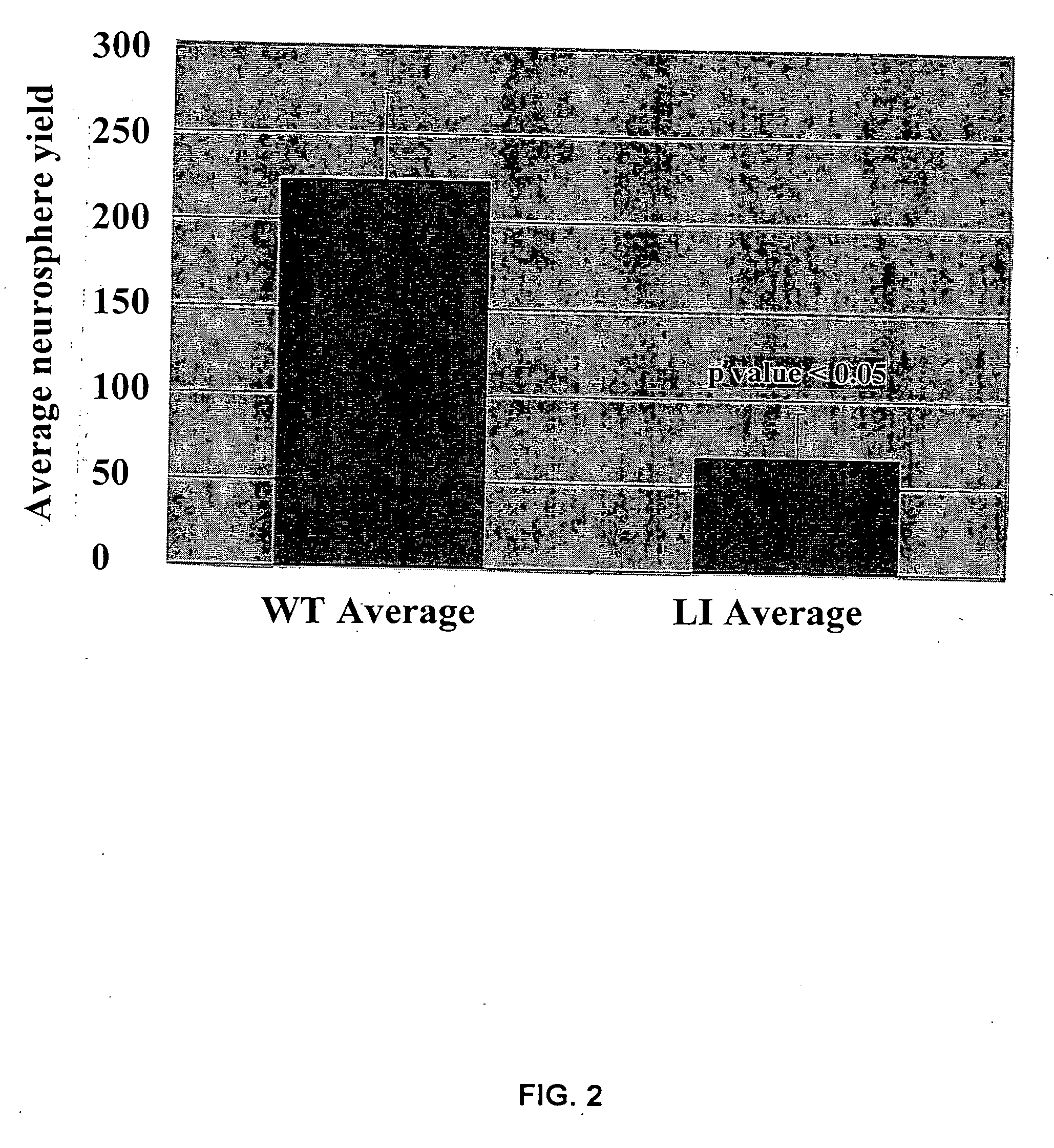 Neural cell assay