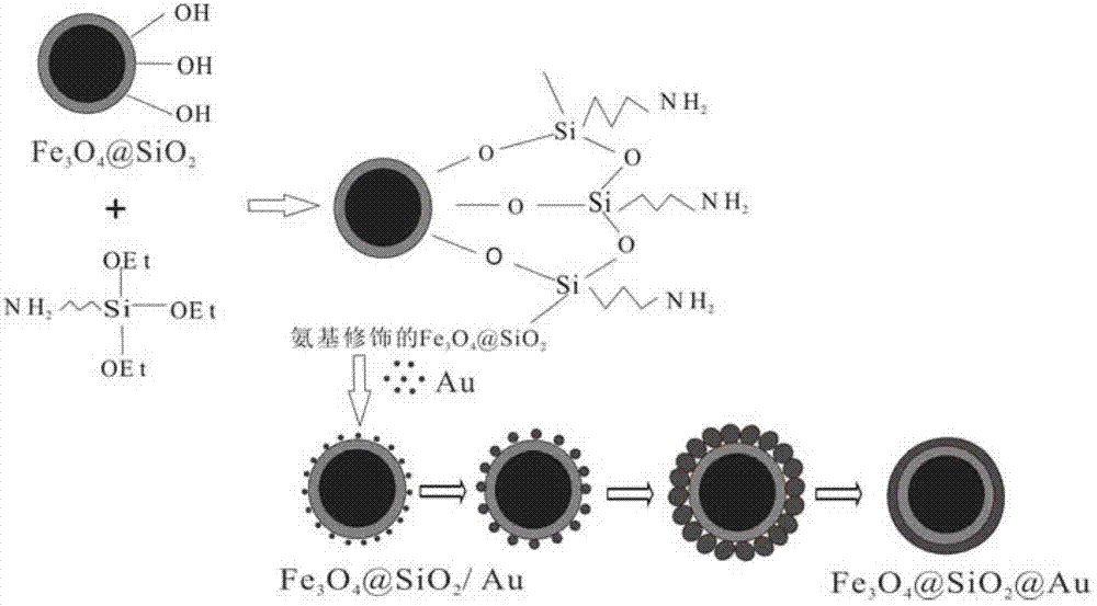 Method for preparing three-layer core-shell structural gold magnetic nano particles