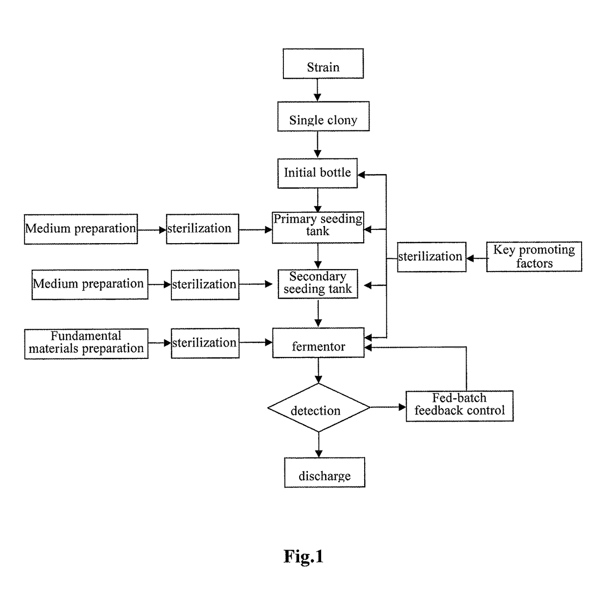 Fermentation method for producing co-enzyme Q10