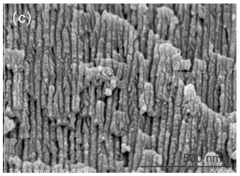 Preparation method and application of colorimetric array sensing label based on anodized aluminum oxide film for indicating freshness of marine fish