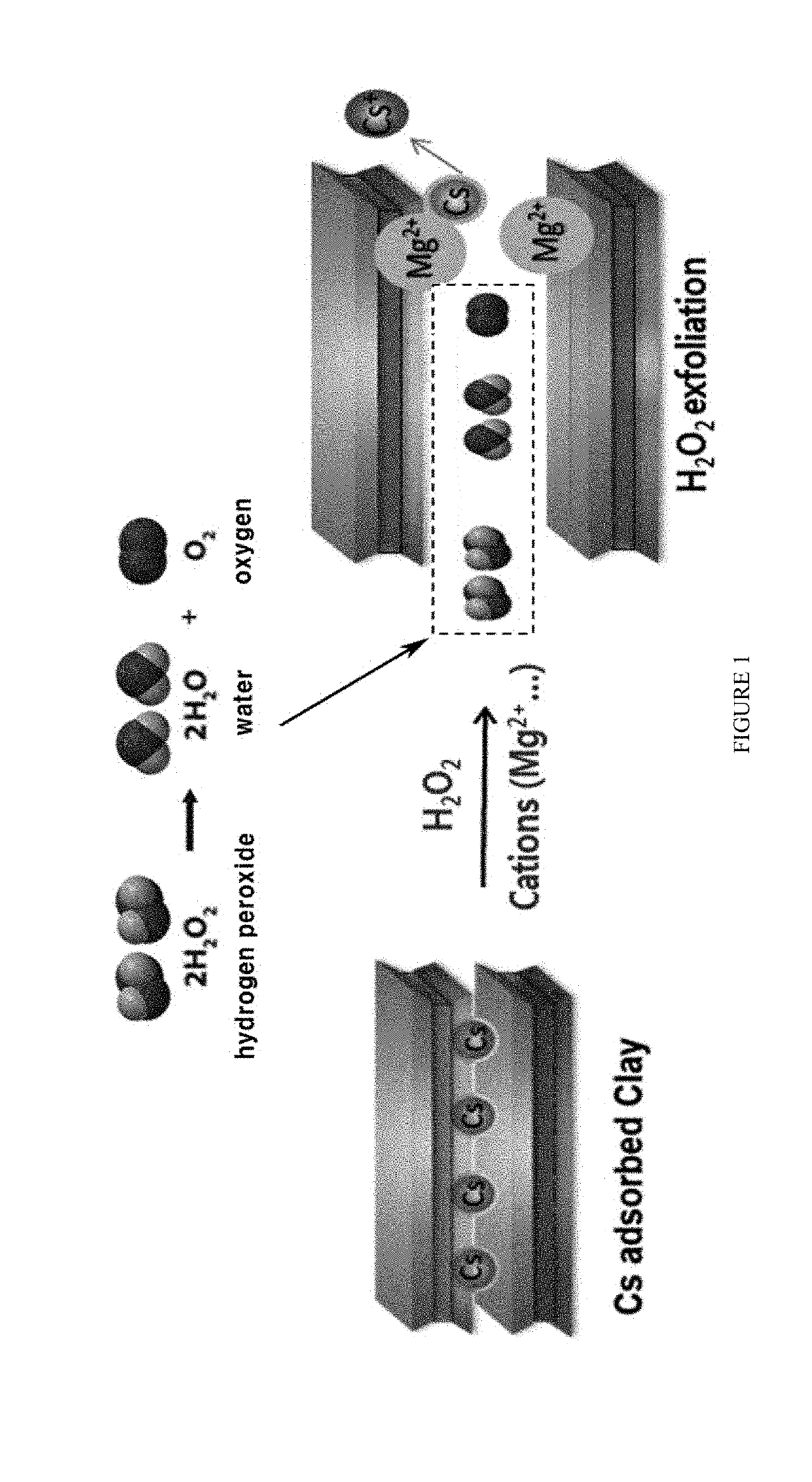 Method for Removing Cesium in Clay Mineral Using Hydrogen Peroxide