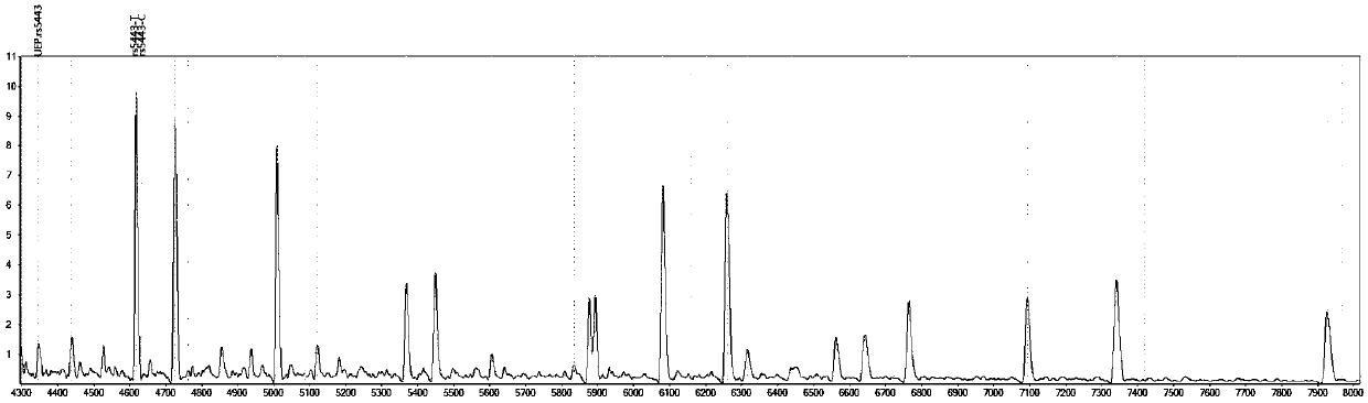 Gene detection kit for medicine application instruction of hypertension reduction medicine telmisartan