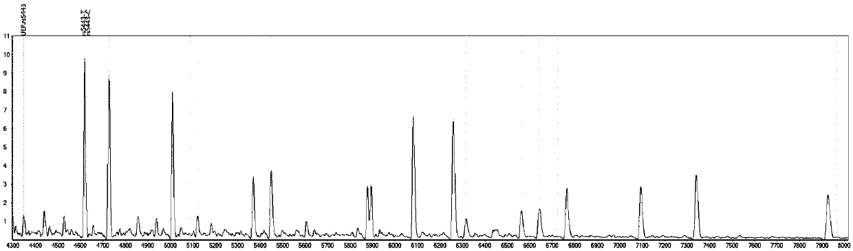 Gene detection kit for medicine application instruction of hypertension reduction medicine telmisartan