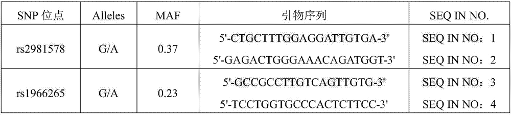 SNP marker associated with curative effect of novel adjuvant chemotherapy of breast cancer and application of SNP marker