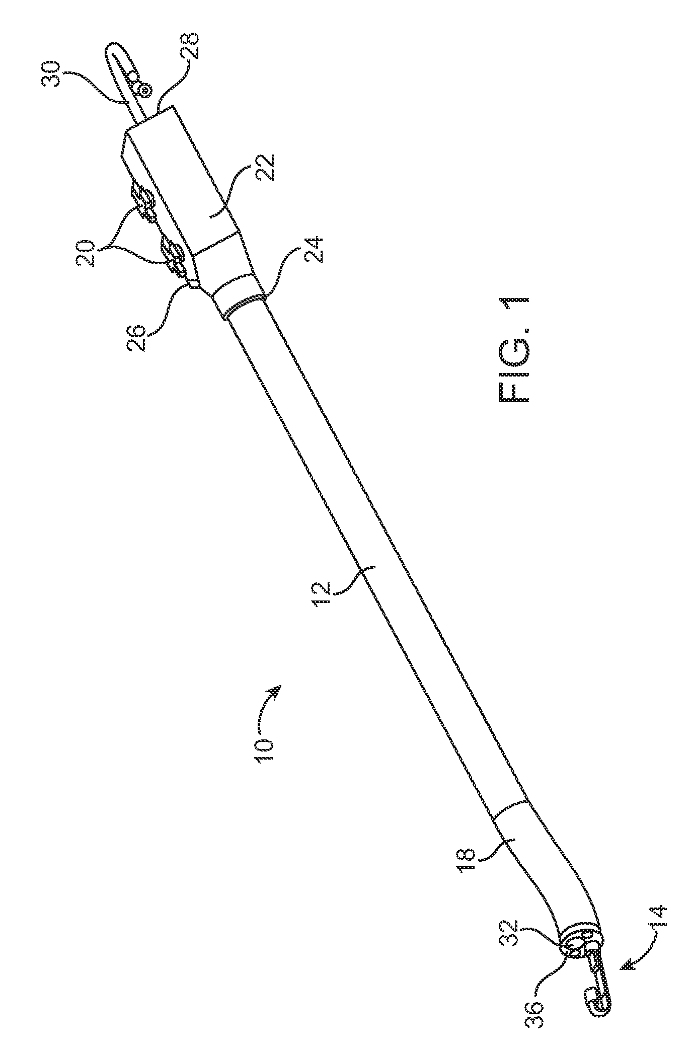 Endoscope assembly with a polarizing filter