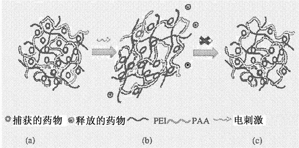 Rotating machine with at least one active magnetic bearing and spaced auxiliary rolling bearings