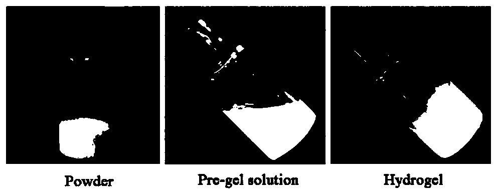 Preparation method for decellularized periosteal matrix gel material sourced from natural tissue