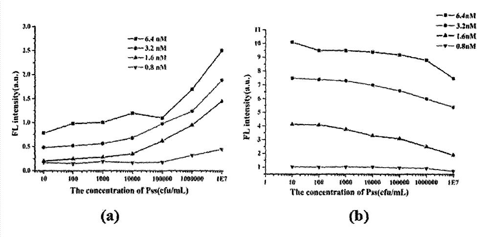 Method for detecting biomacromolecule based on magnetic separation-quantum dot immunofluorescence sensing and reagent preparation method