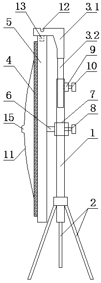 Projection screen stand that is stable in use